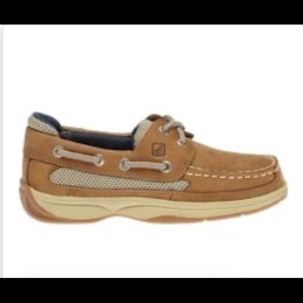 Sperry never worn!!!!